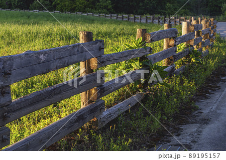 200617牧場夕景g014 89195157