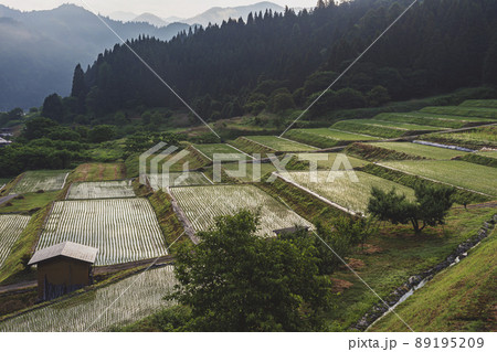 200608瓜巣朝z021 89195209