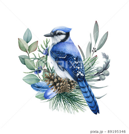 Blue Jay bird icon - Stock Illustration [45485902] - PIXTA