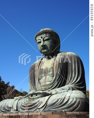 高徳院の鎌倉大仏 高徳院の鎌倉大仏 89195658