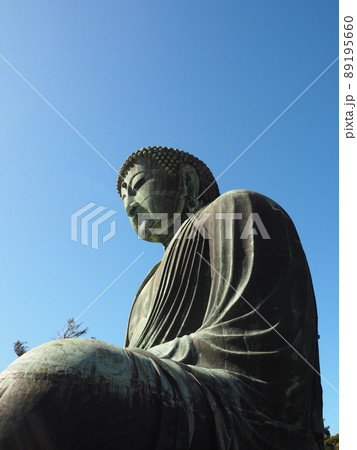 高徳院の鎌倉大仏 高徳院の鎌倉大仏 89195660