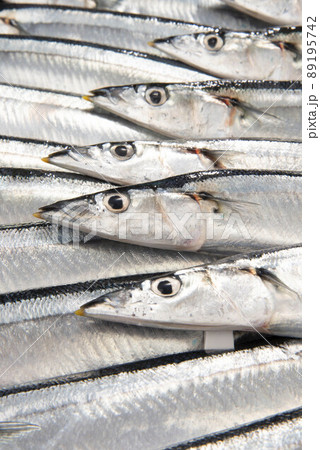 秋刀魚 89195742