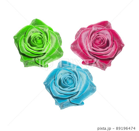 Red green and blue rose art 89196474