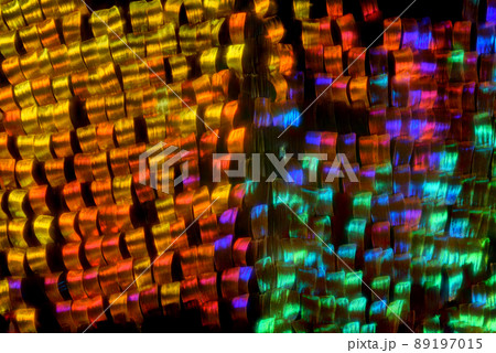 Extreme macro of butterfly wing colorful iridescent scales under the microscope 89197015