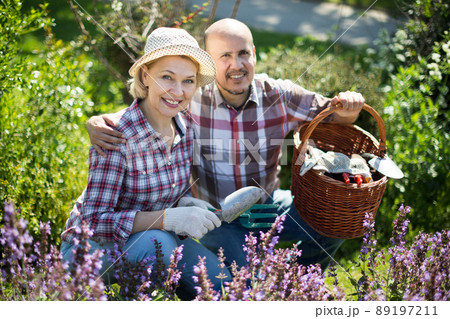 Family work in the garden. Woman and man grow roses Family work in the garden. Woman and man grow roses 89197211