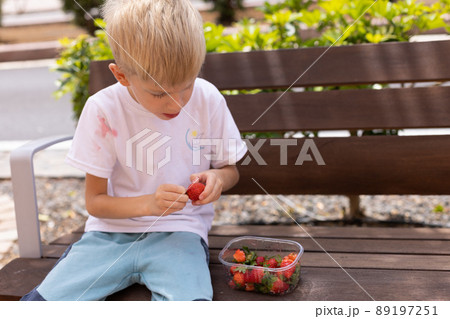 Little boy eating strawberries on a bench in the park. White t-shirt is dirty with berries. 89197251