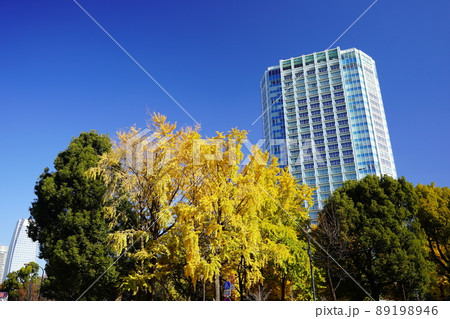 東京　赤羽橋交差点付近の風景 89198946