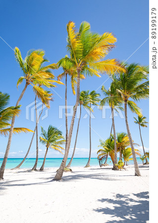 Juanillo beach, Dominican Republic. Luxury travel destination 89199179