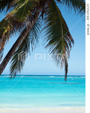 Atlantic ocean sandy beach with coconut palm tree and turquoise water. Dominican Republic 89199224