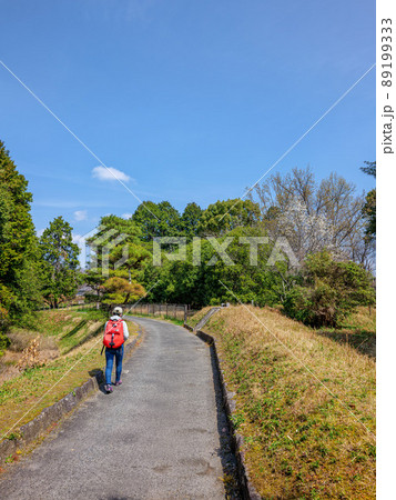 佐紀路 佐紀盾列古墳群の道 2022年3月30日 89199333