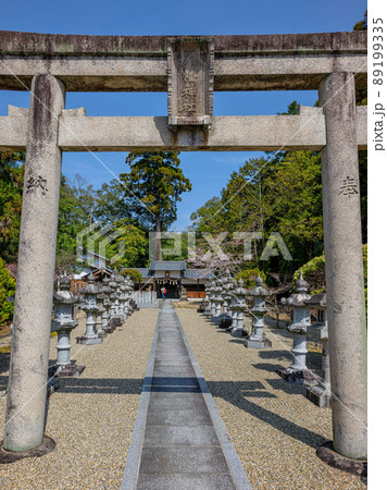 佐紀路 山上八幡神社 2022年3月30日 89199335