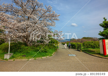 佐紀路 平城宮跡資料館前から若草山 2022年3月30日 89199349