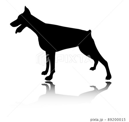 Doberman dog silhouette, icon - vector 89200015