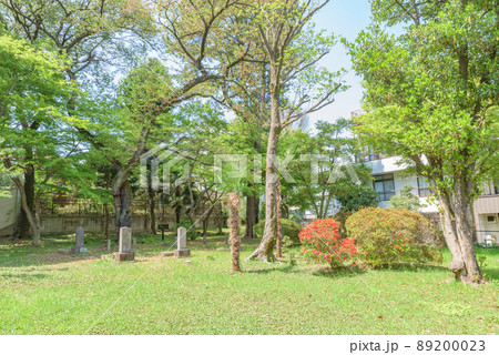 史跡　大塚先儒墓所　東京都文京区大塚五丁目 89200023