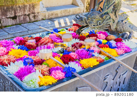 秋の柳谷観音、花手水 楊谷寺(京都府長岡京市) 秋の柳谷観音、花手水 楊谷寺(京都府長岡京市) 89201180