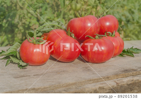 Fresh ripe tomatoes cooked with herbs Fresh ripe tomatoes cooked with herbs 89201538