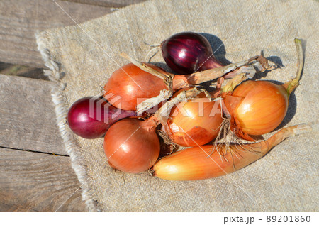 Onions on  wood 89201860