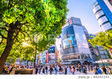 日本の東京都市景観 新系統国内初確認・オミクロン株XEとは別系統。新緑の渋谷は驚愕の人流＝4月28日 89202203
