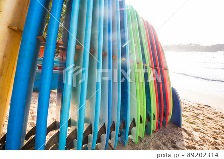 Surfing 89202314