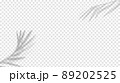 Shadow palm leaves overlay for mockup template product flat lay top.  89202525