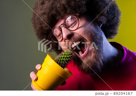 Crazy mad hipster man with Afro hairstyle holding flower pot with prickly cactus and trying to bite plant, wearing red sweatshirt. Indoor studio shot isolated on colorful neon light background. Crazy mad hipster man with Afro hairstyle holding flower pot with prickly cactus and trying to bite plant, wearing red sweatshirt. Indoor studio shot isolated on colorful neon light background. 89204167