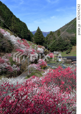 山里の桃源郷　（高知県　仁淀川町　上久喜）	 89204292