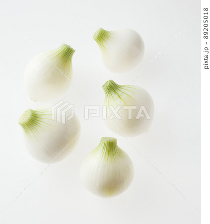 新玉ねぎ 89205018