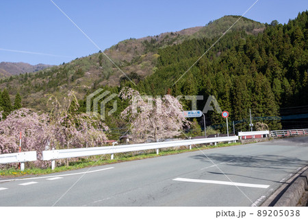 春の四万温泉 新湯大橋付近 春の四万温泉 新湯大橋付近 89205038