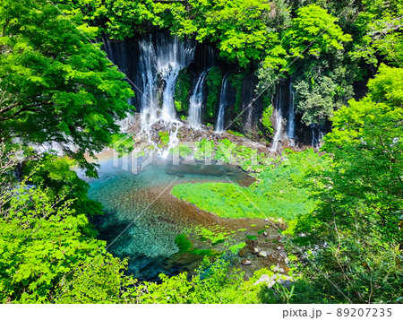白糸の滝（富士宮市） 89207235