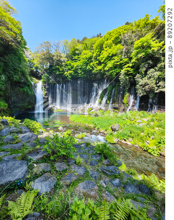 白糸の滝（富士宮市） 89207292