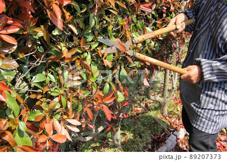 剪定作業 89207373