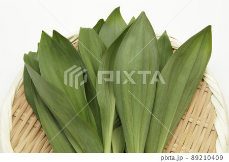 行者ニンニク 行者ニンニク 89210409