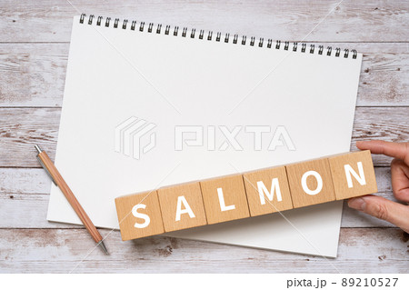 サーモンのイメージ|「SALMON」と書かれた積み木、ノート、ペン、手 サーモンのイメージ|「SALMON」と書かれた積み木、ノート、ペン、手 89210527