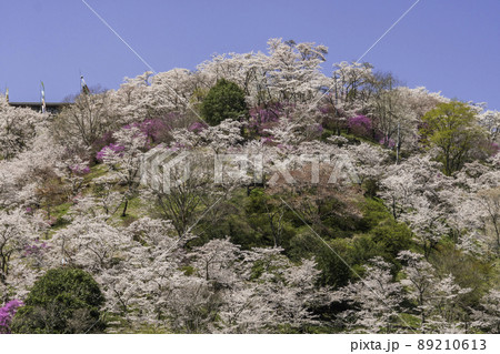 三休公園　岡山県美咲町 89210613