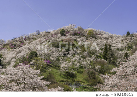 三休公園　岡山県岡山市 89210615