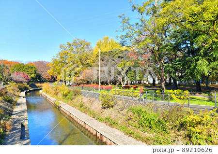 成園橋／善福寺川より上流方向を望む(東京都杉並区)【2021.12】 89210626