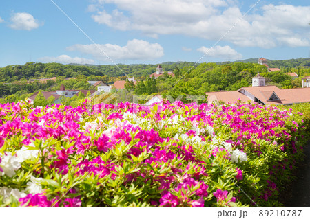 初夏の神戸しあわせの村をツツジの花越しに見る遠景風景 89210787