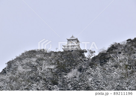 岐阜城と雪 89211196