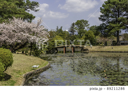 衆楽園　岡山県津山市 89211286