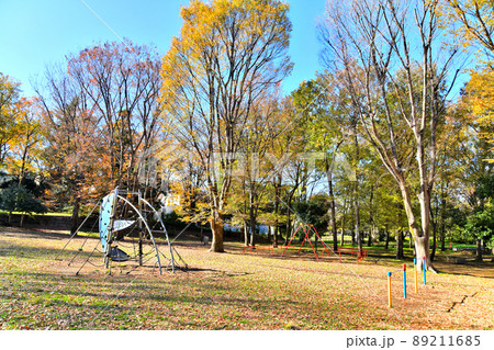 都立 和田堀公園/はらっぱ広場(東京都杉並区)【2021.12】 都立 和田堀公園/はらっぱ広場(東京都杉並区)【2021.12】 89211685