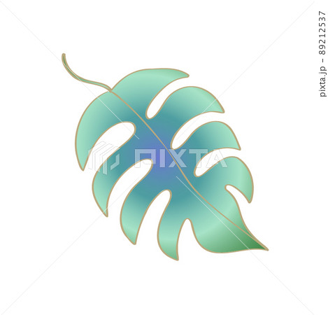 モンステラの葉イラスト モンステラの葉イラスト 89212537