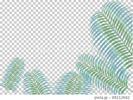 棕櫚葉的框架圖 89212682