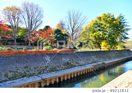 大成橋／善福寺川付近より上流方向を望む(東京都杉並区)【2021.12】 89212812