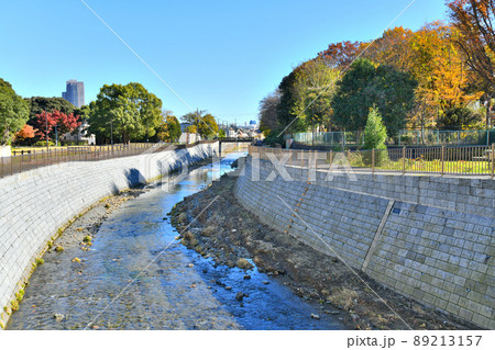 二枚橋／善福寺川より下流方向を望む(東京都杉並区)【2021.12】 89213157