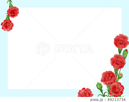 背景素材　母の日　カーネーション　背景　フレーム　薄い水色 89213736