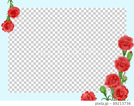 背景素材　母の日　カーネーション　背景　フレーム　薄い水色 89213736