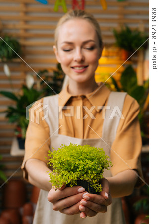 Vertical portrait of pretty female florist in apron holding in hands pot with Soleirolia plant standing in floral shop, looking down. Young woman gardener posing with houseplants at home. 89213988