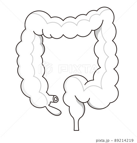 大腸のベクターイラスト。のイラスト素材 [89214219] - PIXTA