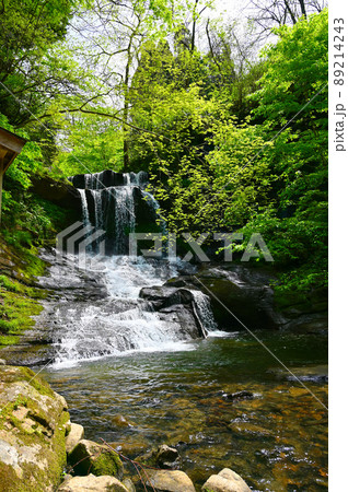 木窪大滝 津幡町 木窪大滝 津幡町 89214243