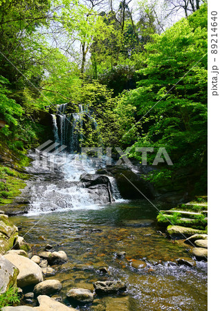 木窪大滝 新緑 津幡町 木窪大滝 新緑 津幡町 89214640